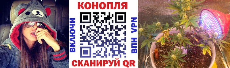 МАРИХУАНА планчик  Яхрома 
